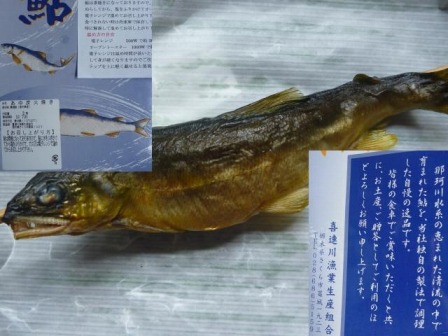 喜連川漁業生産組合　鮎