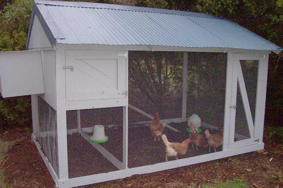 Chook Shed Plans How to Build DIY by ...