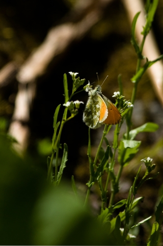 2014053106.jpg