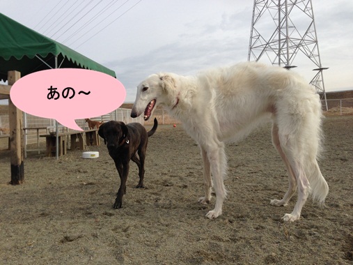 変換097あの