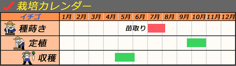 栽培カレンダー_イチゴ