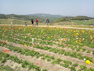 20130505-3.jpg