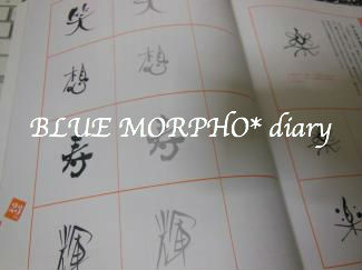 bluemorpho.diary.2013.9.28.3