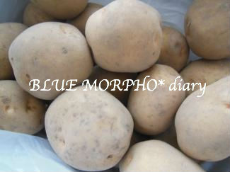 bluemorpho.diary.2013.10.9.2