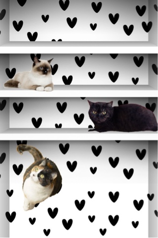 Iphone壁紙 ネコの棚壁紙 黒猫 シャム 三毛など Necomap 黒猫的iphone生活