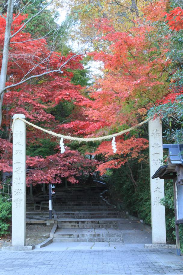 黒住教　紅葉