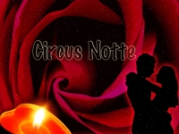 夜のサーカスと赤銅色のヴァレンタイン